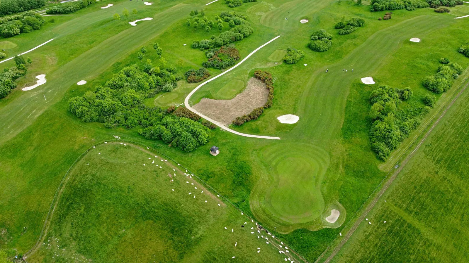 Golf courses
